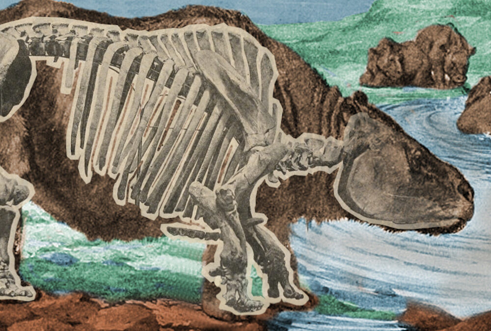 Descobertos novos indícios da interação entre humanos e megafauna no Brasil pré-histórico