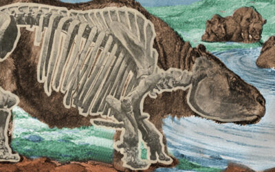 Descobertos novos indícios da interação entre humanos e megafauna no Brasil pré-histórico
