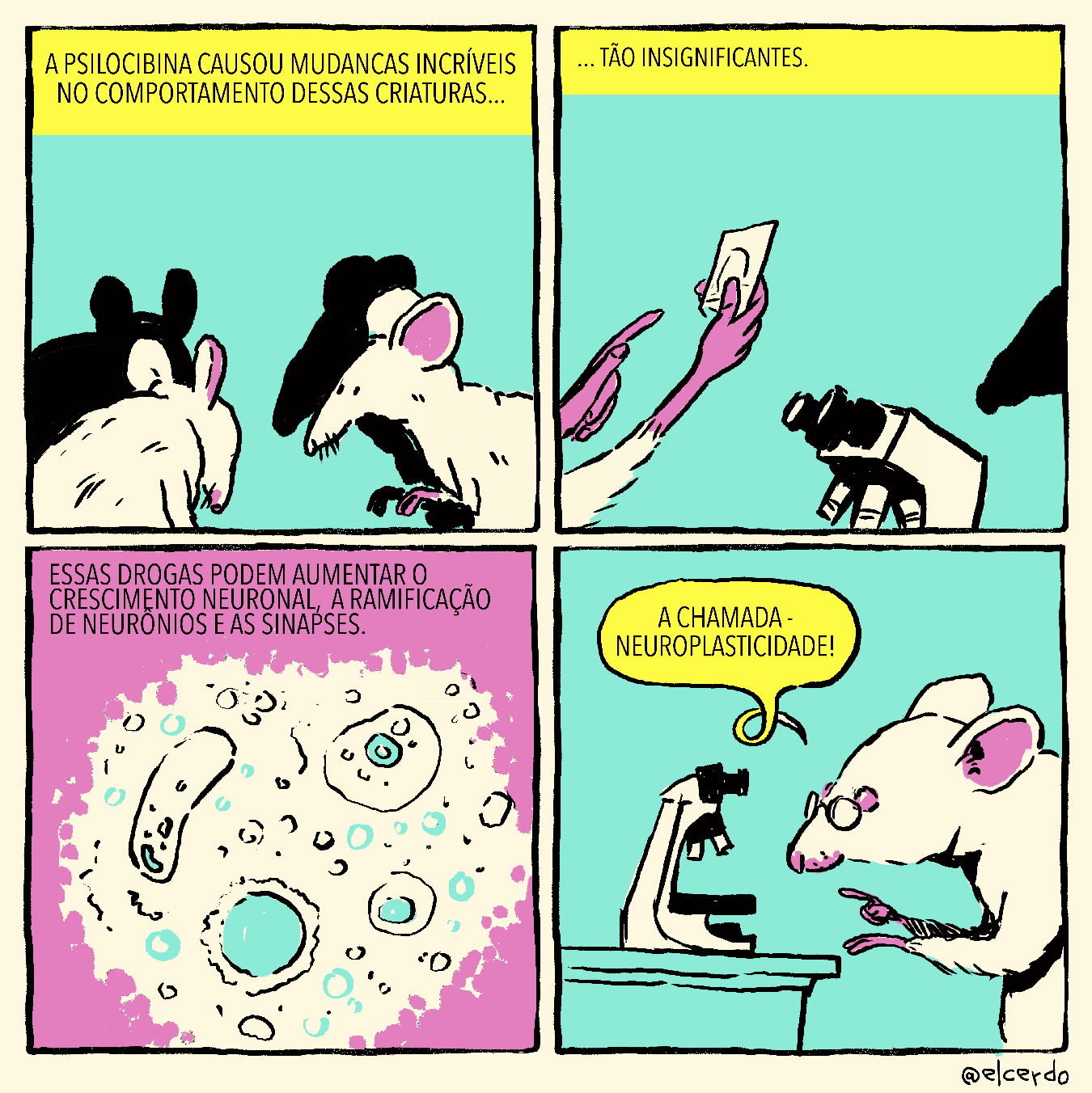 Tirinha em 4 requadros, 2x2. 1) Dois ratos brancos em pé, ligeiramente curvados, um de frente para o outro. Têm a pelagem branca e a pele rosa à mostra na orelha, nas patas e na ponta do focinho. Estão enquadrados um pouco acima da barriga, de lado pra câmera, o da esquerda mais de costas, então não se vê seu rosto. Eles projetam sombras bem definidas sobre um fundo ciano. No topo, o texto: “A psilocibina causou mudanças incríveis no comportamento dessas criaturas…” 2) As mãos rosa do rato da esquerda seguram um papel branco com alguma forma não identificável em sua superfície; em frente a elas, parte de um microscópio óptico; no canto direito do quadro, a sombra do focinho no outro rato na parede ciano. No topo, o texto: “... tão insignificantes.” 3) Imagem microscópica de células com contornos pretos, partes brancas e ciano sobre uma grande mancha branca contra um fundo rosa. No topo, o texto: “Essas drogas podem aumentar o crescimento neuronal, a ramificação dos neurônios e as sinapses”. 4) Finalmente revela-se o rosto do rato que segurava a amostra, ele está de frente para o microscópio sobre uma bancada, usa óculos tipo pince-nez e diz: “A chamada neuroplasticidade”.