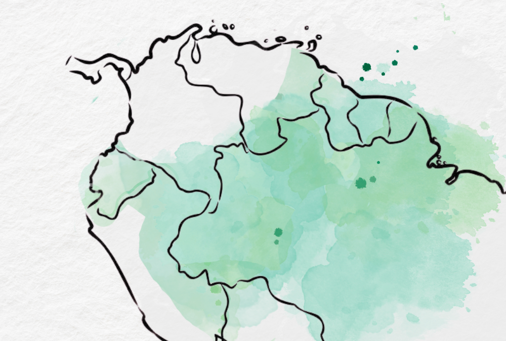 E a Cúpula dos Países Amazônicos?