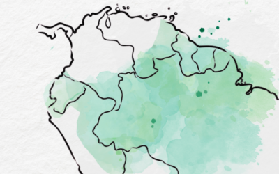 E a Cúpula dos Países Amazônicos?