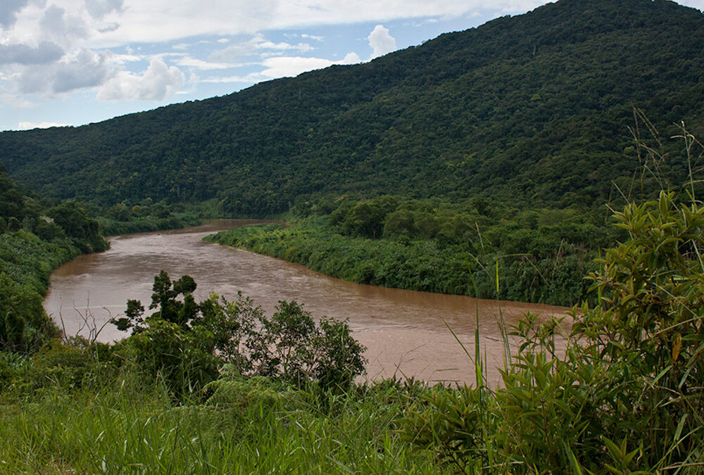 Césio-137 encontrado em sedimentos de rio em SP pode delimitar Antropoceno