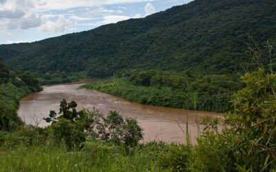 Césio-137 encontrado em sedimentos de rio em SP pode delimitar Antropoceno
