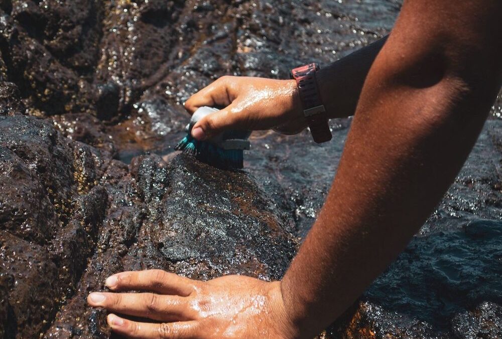 Estudo revela exposição dupla e prolongada de pescadores ao petróleo no litoral de Pernambuco