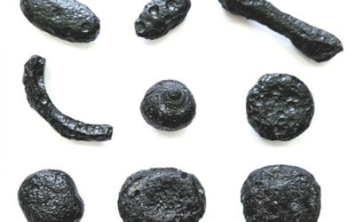 Vidros formados por impacto evidenciam colisão cósmica no Brasil há cerca de 6 milhões de anos