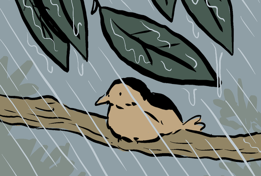 Tirinha de Tiago Lacerda — 20/2/2026