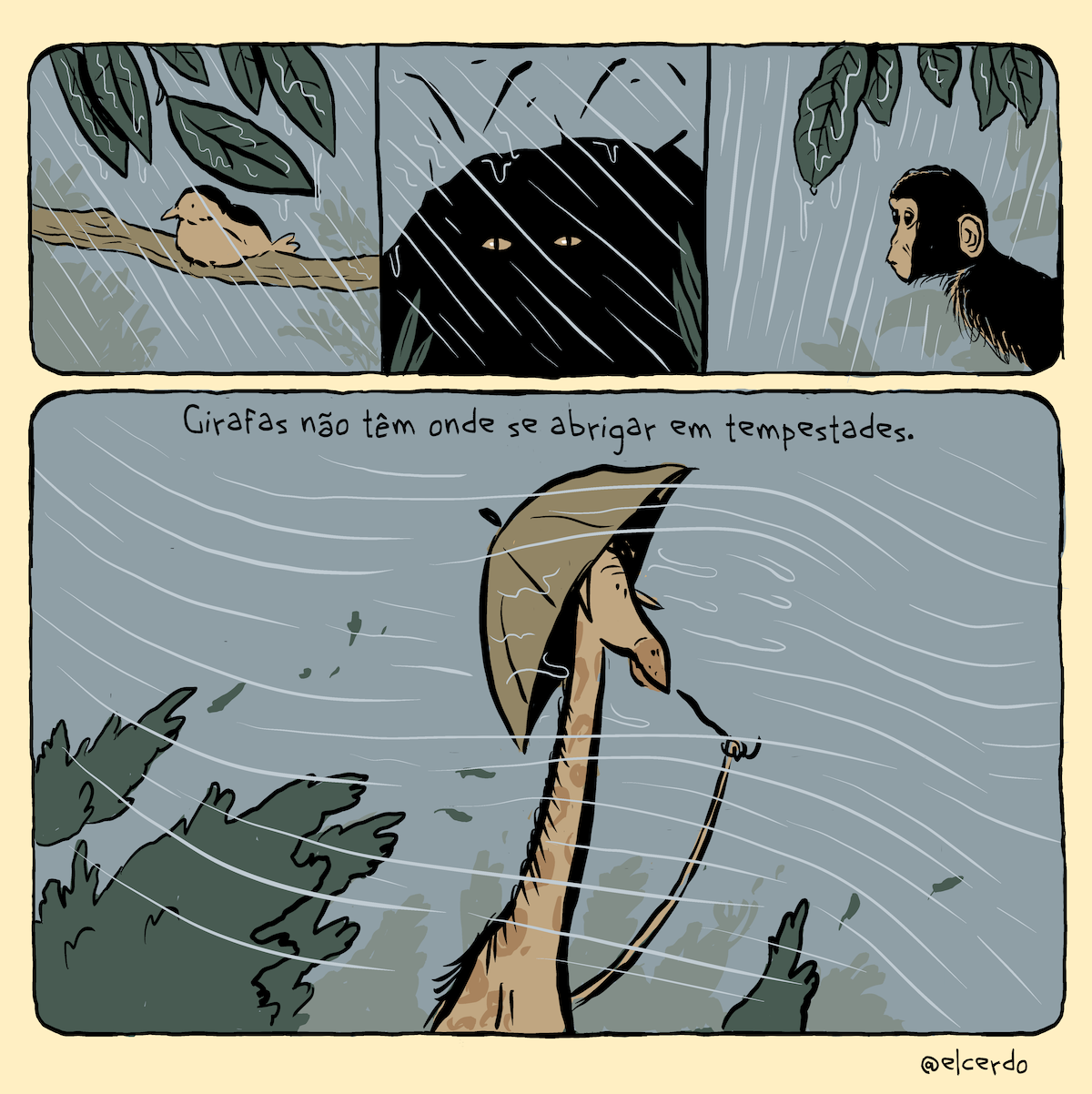 Tirinha em 4 requadros, 3 quadrados lado a lado em cima e um horizontal embaixo. 1) Sob chuva, um passarinho bege voltado para a esquerda do quadro repousa apoiado em um galho, protegido por folhas verde escuro que projetam uma pequena sombra sobre o animal. A água cai na diagonal, da esquerda para a direita, e corre sobre as plantas. A paisagem tem mais plantas distantes e uma atmosfera acinzentada. 2) Na sombra de uma toca om algumas folhas à frente, dois olhos de fundo amarelo e pupilas em fenda. A paisagem continua acizentada e com a chuva caindo na diagonal. 3) No canto direito do quadro, um macaco voltado para a esquerda do quadro se protege da chuva embaixo de algumas folhas; sua face e orelha são bege, seu corpo tem pelos marrons. O céu continua acizentado e a chuva cai levemente para a esquerda. 4) Uma girafa bege com manchas amarronzadas no corpo segura com a cauda um guarda-chuva marrom. O vento é forte e está desenhado como ondulações horizontais da esquerda para a direita. As árvores ao fundo balançam e suas folhas voam com o vento. No topo da imagem, a frase: “Girafas não têm onde se abrigar em tempestades”. No canto inferior, a assinatura: “@elcerdo”.