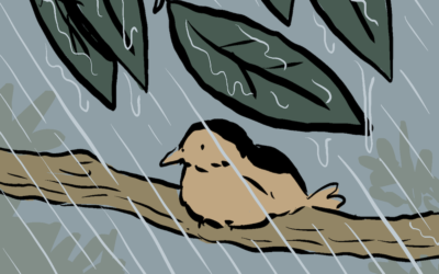 Tirinha de Tiago Lacerda — 20/2/2026