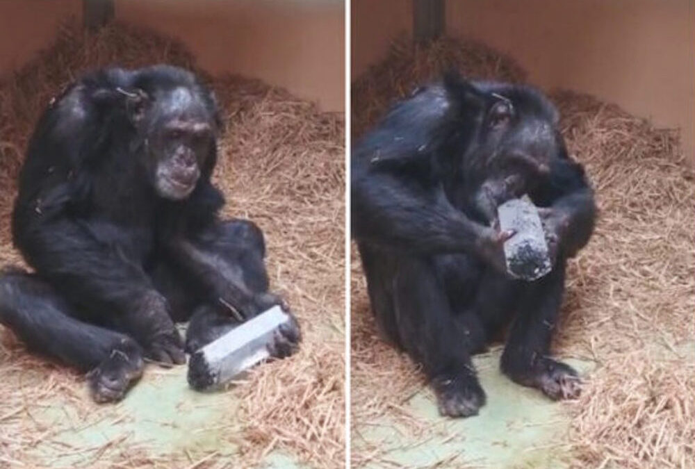 Cristais podem ter inspirado humanos a pensar sobre o “além”