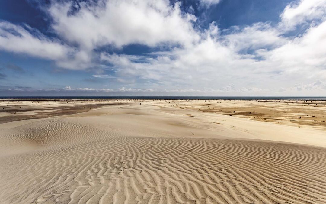 Albardão: como é o mais novo (e maior) parque nacional marinho do Brasil