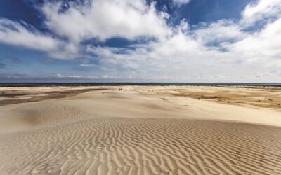 Albardão: como é o mais novo (e maior) parque nacional marinho do Brasil