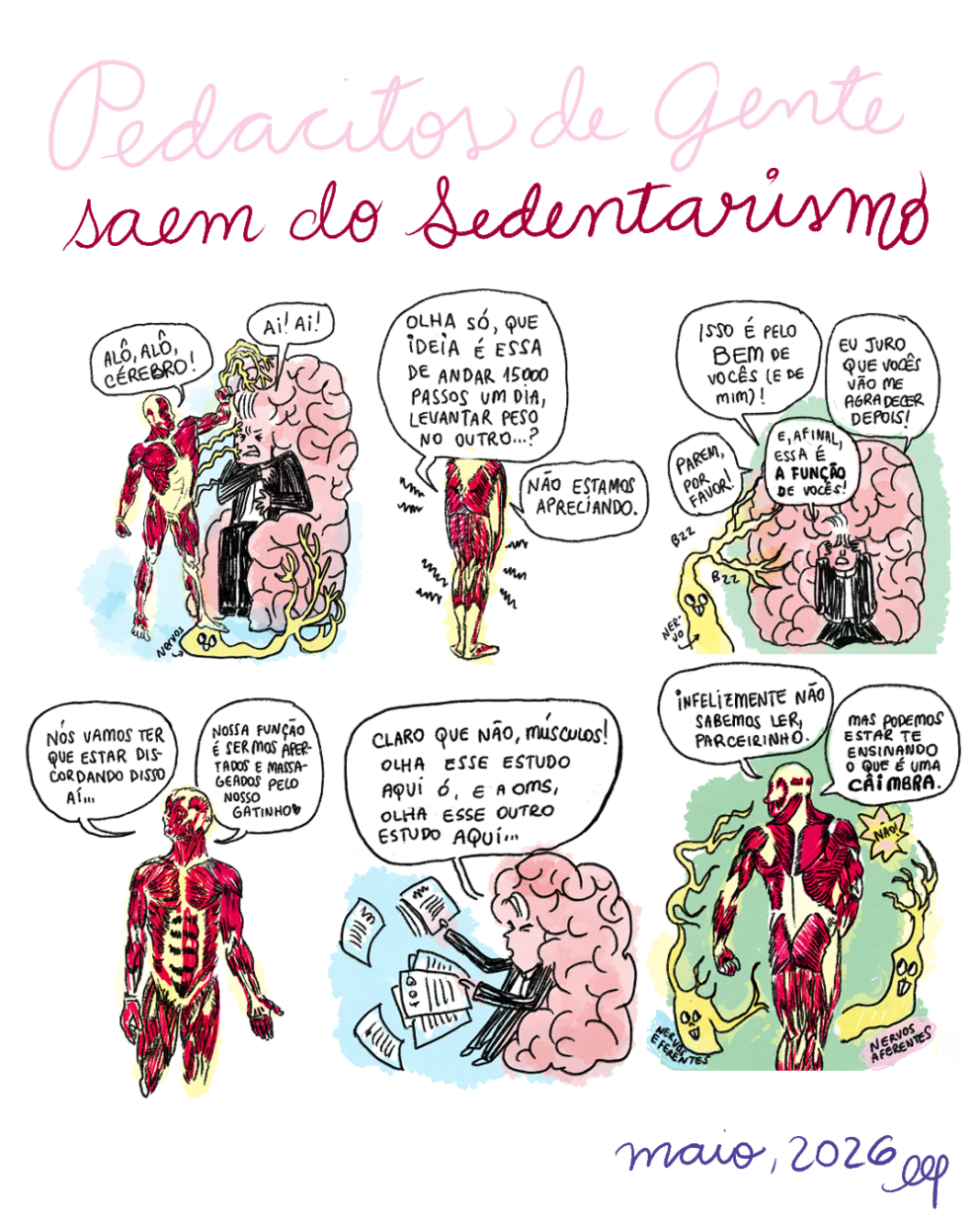 Tirinha em 6 requadros, 3x2. No topo, o título em letras cursivas: “Pedacitos de gente saem do sedentarismo”, sendo as 3 primeiras palavras pintadas de rosa claro e as demais, de rosa escuro. 1) Um homem sem pele, com os músculos, tendões e ossos expostos, diz “Alô, alô, Cérebro”, enquanto extensões suas amareladas (com a legenda “nervos” indcada por uma seta) tocam diferentes partes do Cérebro (um homem vestido de terno preto com um encéfalo gigante projetado para cima e para as costas como se fosse uma vasta cabeleira e, ao mesmo tempo, servindo-lhe  de trono). O Cérebro responde “Ai, ai”. 2) Em pé, com risquinhos ondulados à sua volta indicando dor ou fadiga, o homem sem pele diz: “Olha só, que ideia é essa de andar 1500  passos um dia, levantar peso no outro…? Não estamos apreciando”. 3) Enquadrado da cintura para cima, Cérebro apoia as mãos nas têmporas e tem expressão de dor. O nervo, com um sorriso maldoso, segue tocando algumas partes do cérebro, enquanto as onomatopeias “bzz” “bzz” ao lado de suas extensões  indicam impulsos elétricos.  O Cérebro diz: “Isso é pelo bem de vocês (e de mim)!”, “Eu juro que vocês vão me agradecer depois!”, “E, afinal, essa é a função de vocês!”, “Parem por favor!”. 4) De frente para o quadro, enquadrado dos joelhos para cima, o homem sem pele diz
“Nós vamos ter que estar discordando disso aí…”, “Nossa função é sermos apertados e massageados pelo nosso gatinho (desenho de coração)”. 5) O Cérebro responde, enquanto joga uma série de papéis o ar: “Claro que não, Músculos! Olha esse estudo aqui ó, e a OMS, olha esse outro estudo aqui…”. 6) De costas para o quadro, o homem sem pele sai andando com os Nervos Eferentes do seu lado esquerdo e os Nervos Aferentes do seu lado direito, e diz: “Infelizmente não sabemos ler, parceirinho”, “Mas podemos estar te ensinando o que é uma câimbra”. Próximo ao seu ombro direito, um balão de diálogo em forma de estrela traz o grito “Não!”, vindo de fora do quadro. Fora dos requadros, na moldura da página, no canto inferior direito, está escrito “Maio, 2026” e a assinatura de Cynthia Bonacossa.