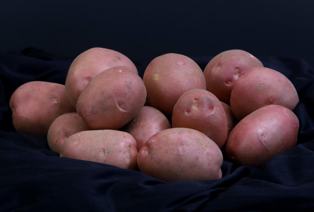 Batatas brasileiras na Lua