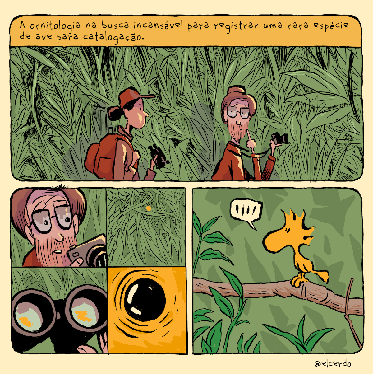 Tirinha em 3 requadros, o primeiro horizontal na metade de cima, e os outros dois quadrados na metade de baixo. 1) No topo, o texto: “A ornitologia na busca incansável para registrar uma rara espécie de ave para catalogação”. Em meio a uma vegetação densa, uma mulher caminha logo atrás de um homem, da esquerda para a direita do quadro. Ela tem a pele bege, cabelo castanho preso em um coque, veste uma blusa cáqui de exploradora e um boné marrom, com a mão esquerda segura um binóculo e, com a direita, segura a alça da mochila marrom que leva às costas. Ele tem a pele bege e a barba ruiva, usa óculos quadrados, chapéu e jaqueta marrons. Com a mão esquerda segura uma câmera fotográfica, com a direita, faz um sinal de silêncio, olhando para a mulher logo atrás. 2) O quadro está dividido em 4 partes, 2x2. Na primeira, o rosto atento do homem, que está levando a câmera em direção ao olho. Na segunda, uma pequena mancha amarela no meio da vegetação. Na terceira, o binóculo em close, com as lentes refletindo a mancha amarela. Na quarta, um olho redondo e preto de um animal amarelo, com algumas linhas de expressão ao redor. 3) Pousado em um galho em meio à vegetação, olhando da direita para a esquerda, está o Woodstock, personagem de Peanuts, piando. No canto inferior direito, a assinatura “@elcerdo”.
