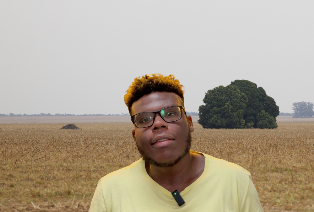 A eternamente adiada reforma agrária brasileira
