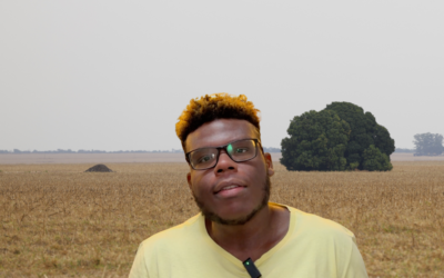 A eternamente adiada reforma agrária brasileira