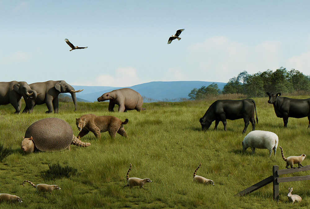 Fósseis da megafauna ajudam a entender a perda de diversidade de mamíferos no Pampa