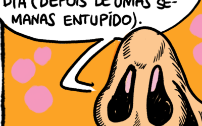 HQ de Cynthia Bonacossa — 11/9/2026
