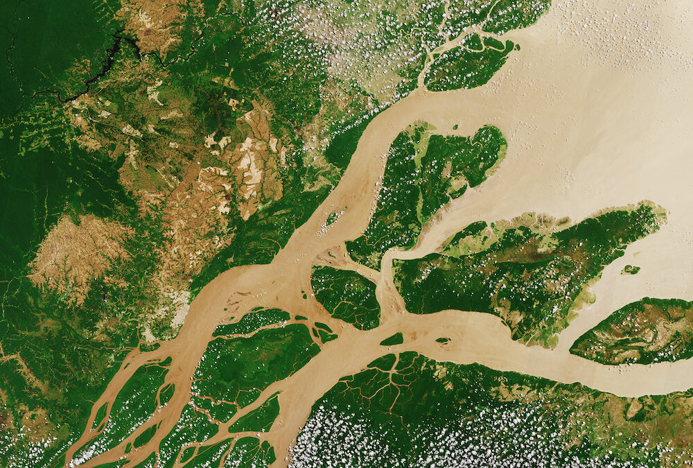 Pluma do rio Amazonas altera química do Oceano Atlântico e favorece absorção de CO₂