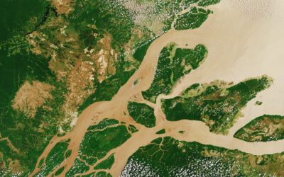 Pluma do rio Amazonas altera química do Oceano Atlântico e favorece absorção de CO₂
